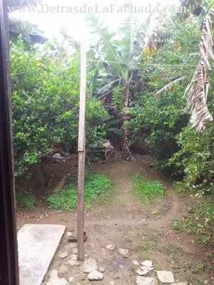 Part of the courtyard