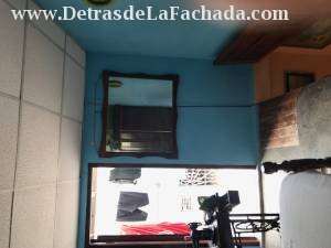 ave 40 entre 37 y 39