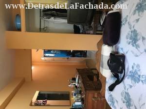 ave 40 entre 37 y 39