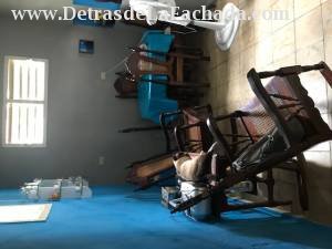 ave 40 entre 37 y 39