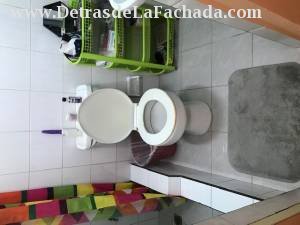 ave 40 entre 37 y 39