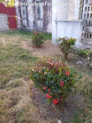 San Gregorio % 17 y 18 Norte, Edificio 156