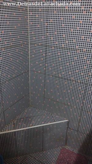 Detrás de la Tienda TRD América Latina