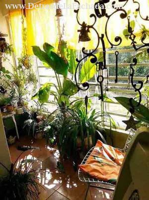 avenida 229  e/ 206 y 210