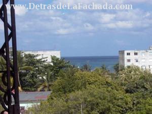 View from the terrace