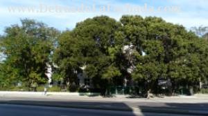 Front of the building