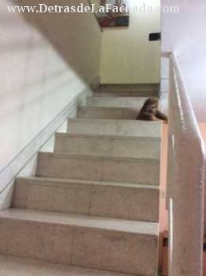 Cerca de  hospital retinosis