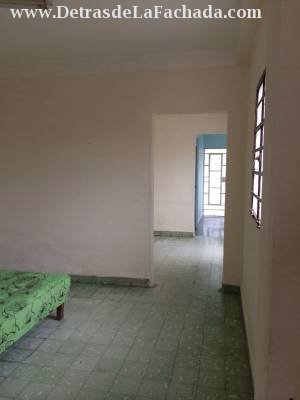 Paseo #7 /LUZ Y COCO