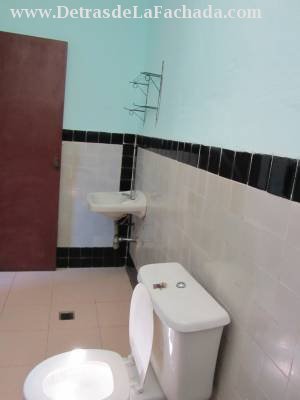 Paseo #7 /LUZ Y COCO