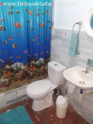 EL BOSQUE DE LA HABANA