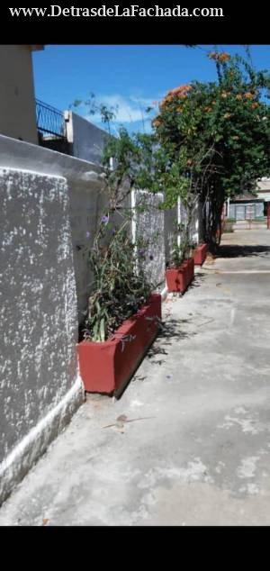 Calle F # 256 e/ 11 y 13