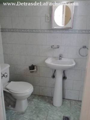 Ayestaran/conill y tulipan