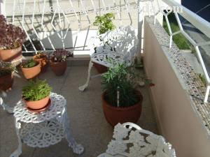 Terrace in front of the calla