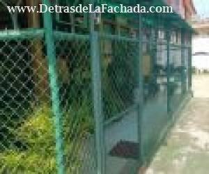 calle 33 entre 58B y 60, #5839 apto 3