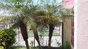 Vista lateral de la fachada de inmueble