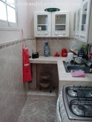 Ayestaran/conill y tulipan