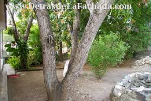 Calle Lebredo 330 e/ Apodaca y H