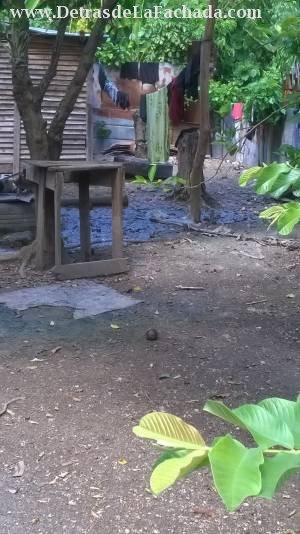 Most of the back of the courtyard.