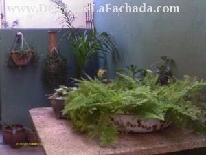 Portalito del apartamento