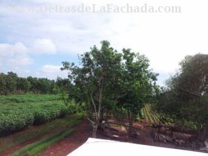 Carretera San Antonio 8Km Novia del Mediodia