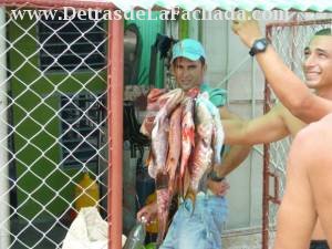Sport fishermen with their catch