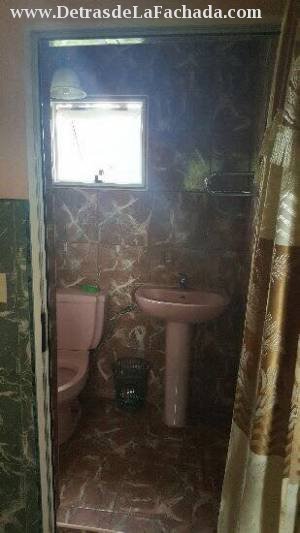 366 entre A y D Palomino