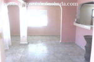 Palmas de Lucía, Las 80