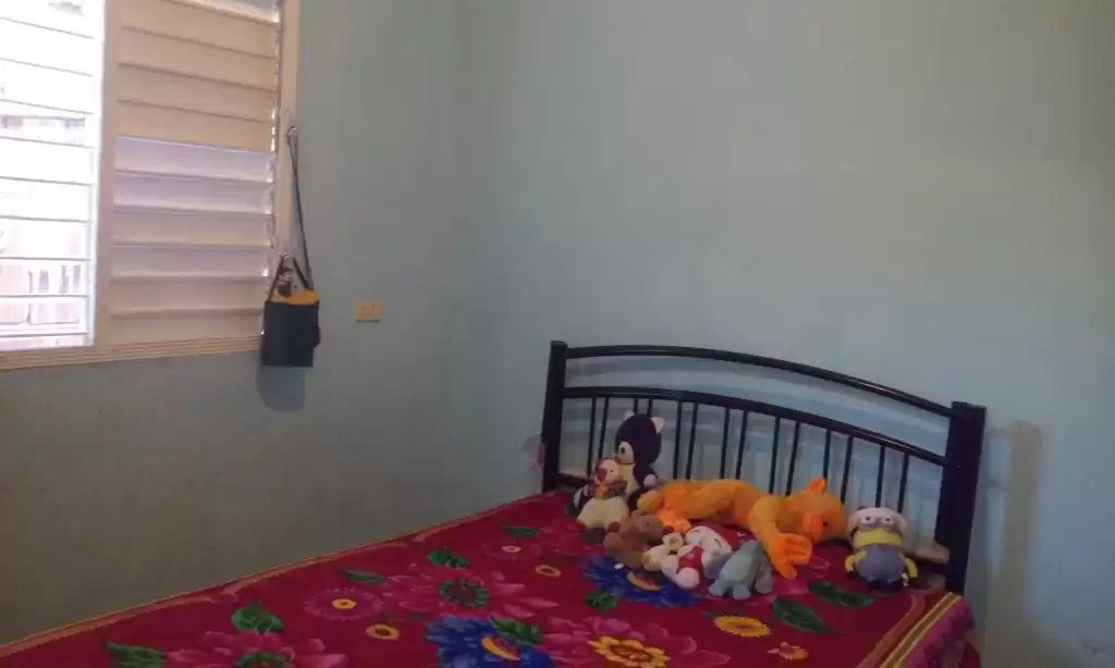 Pasaje c # 18 entre camilo Cienfuegos y dama