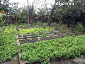 San Antonio #11 % Cristo y Marti