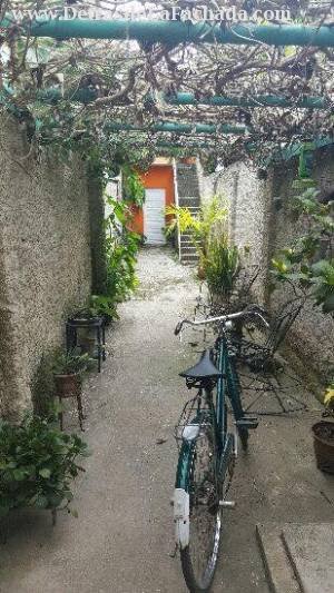 366 entre A y D Palomino