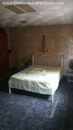 366 entre A y D Palomino