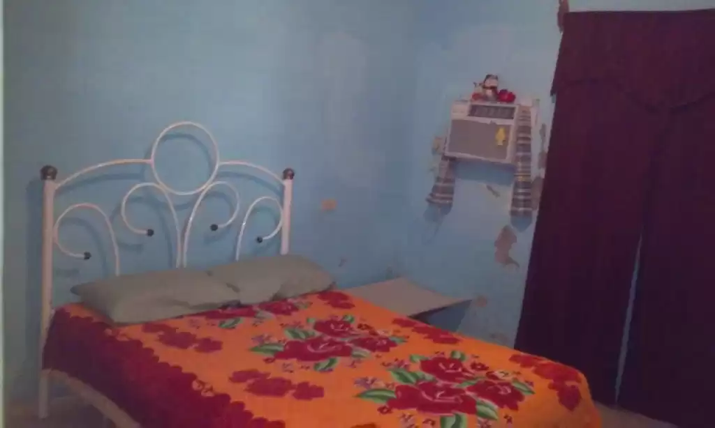 Pasaje c # 18 entre camilo Cienfuegos y dama