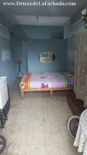 366 entre A y D Palomino