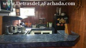 366 entre A y D Palomino