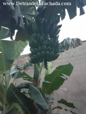 Calle, Jose Miguel Gomez # 144 / Plaza Mendez y Calle A