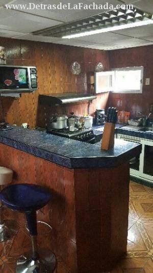 366 entre A y D Palomino