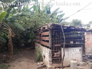 Egusquiza #1102 % Paseo Agramonte y Céspedes