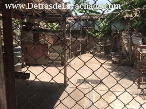 Cielo #243. Campo santo y mata