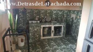 366 entre A y D Palomino