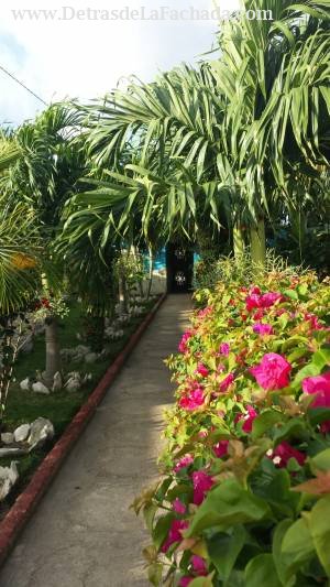 Palmas de Lucia, las 80.