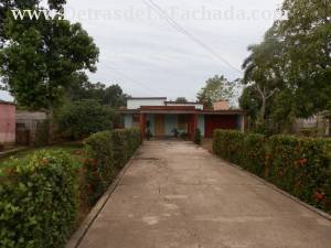 Palomino #523 Camagüey