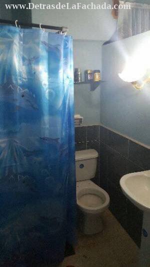 366 entre A y D Palomino