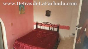 366 entre A y D Palomino