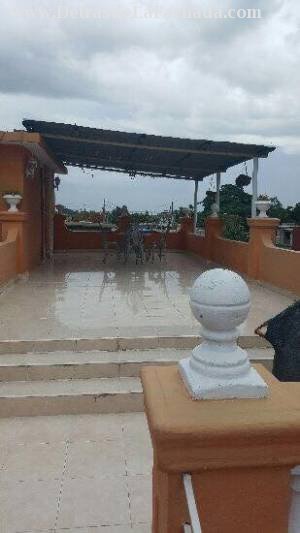 366 entre A y D Palomino