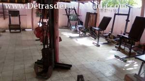 Another part of the yard