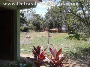 calle Montalvo final 1806 y 1808