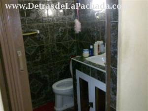 The ground floor bathroom