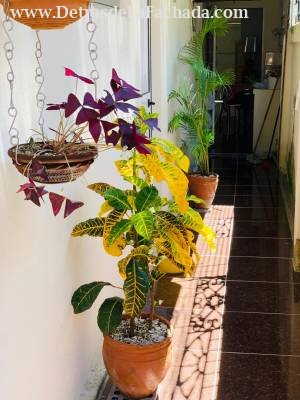 calle 61 entre 60 y 62