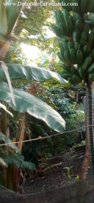 Calle E No 1A Entre trejo y Ferrán cumanayagua