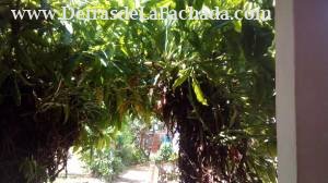 Calle E No 1A Entre trejo y Ferrán cumanayagua